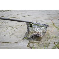 TETE D'EPUISETTE CARP LANDING NET