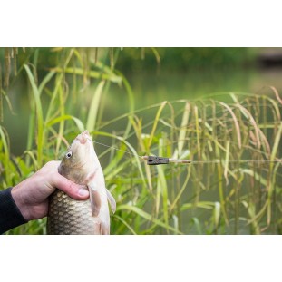 PLOMB OPEN ALLOY FEEDER INTER 20G