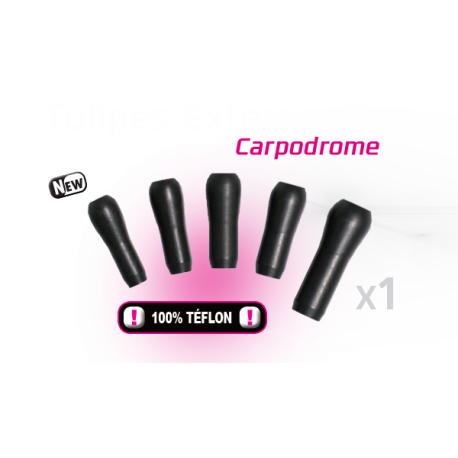 TULIPE EXTERNE PRO