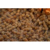 CONE A PELLET