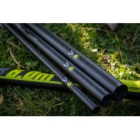 CANNE TORQUE CARP