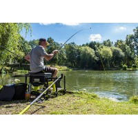 CANNE TORQUE CARP