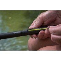 CANNE TORQUE CARP