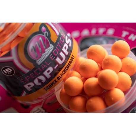 SPECIAL EDITION POP-UPS
