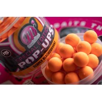 SPECIAL EDITION POP-UPS