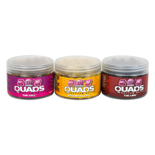 QUAD HOOKBAIT ESSENTIAL CELL 10MM