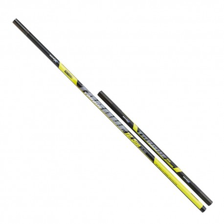 CANNE TORQUE EURO CARP