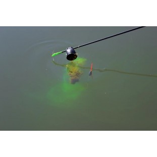 FLUO BOOST