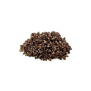 READY SEEDS DEMON HEMP 1KG