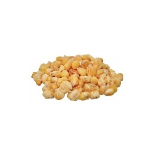READY SEEDS OCEAN TUNA CORN 1KG