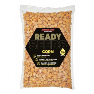 READY SEEDS CORN 1KG