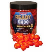 READY SEEDS BRIGHT CORN 250ML