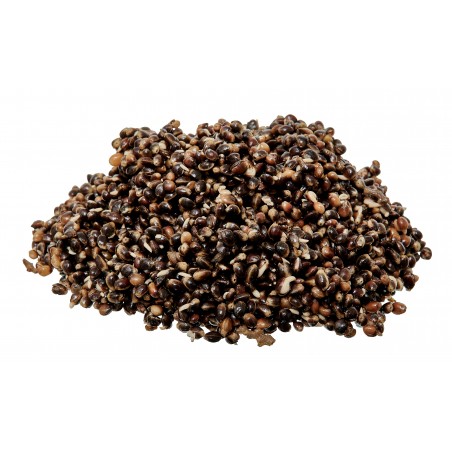 READY SEEDS DEMON 1KG