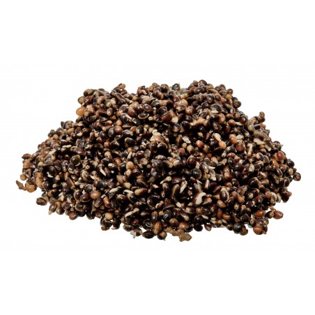 READY SEEDS SK30 1KG