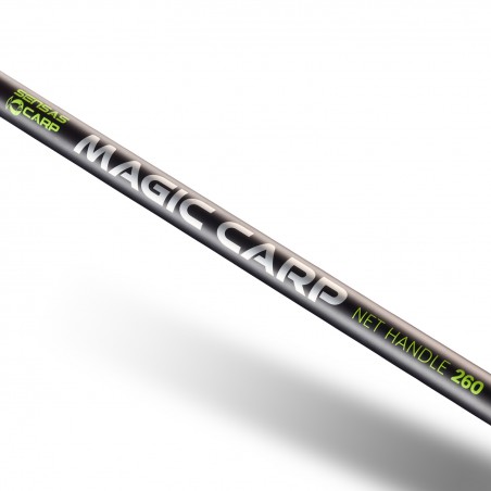 MANCHE MAGIC CARP