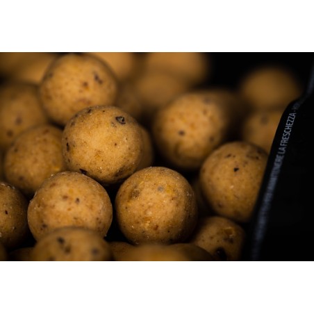 SHELF LIFE BOILIES 1KG
