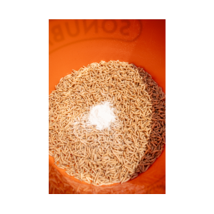 MAGGOT GLUE 300G