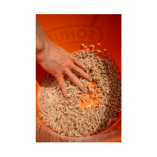 MAGGOT GLUE 300G