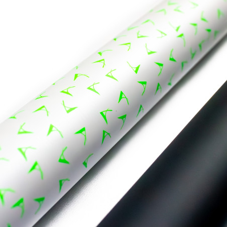 CANNE DUO FISH X 920 EDITION 2026