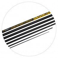 Cannes au Coup Specimen