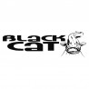 BLACK CAT