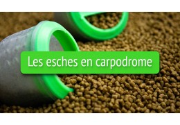 Les esches en carpodrome